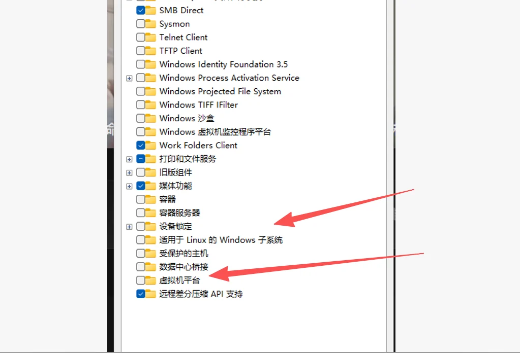 Windows 功能列表里勾选「虚拟机平台」与「适用于 Linux 的 Windows 子系统」